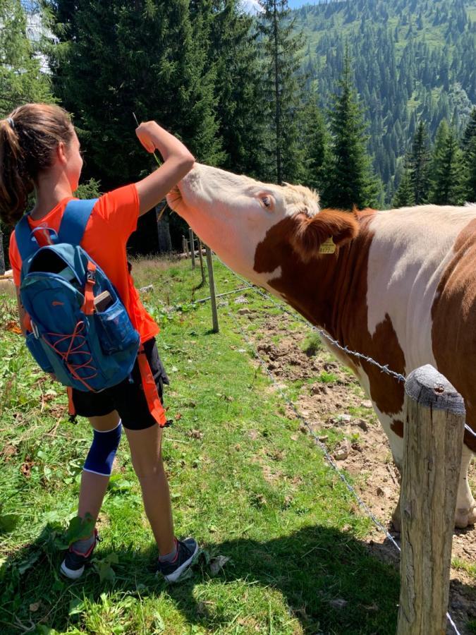 Hotel Alpina Kleinarl Eksteriør billede