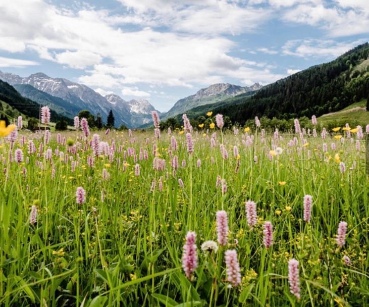 Hotel Alpina Kleinarl Eksteriør billede