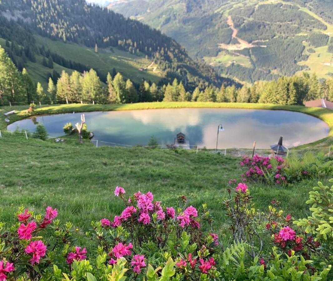 Hotel Alpina Kleinarl Eksteriør billede